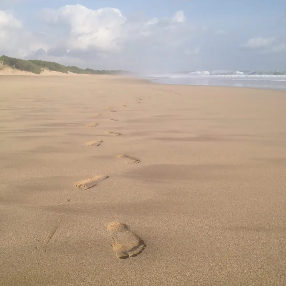 Gabinet psychologiczny Chwila Uwagi w Katowicach – bezpieczna przestrzeń do rozmowy